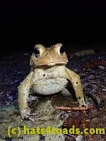 /home//u458753944/public_html/sourcegallery/////////McKaig Nature Center/2020-09-27/P9270704.JPG